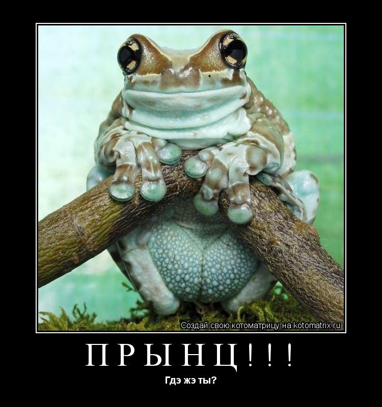 ПрЫнц!!! Гдэ жэ ты?... Котоматрица: ПрЫнц!!! Гдэ жэ ты?