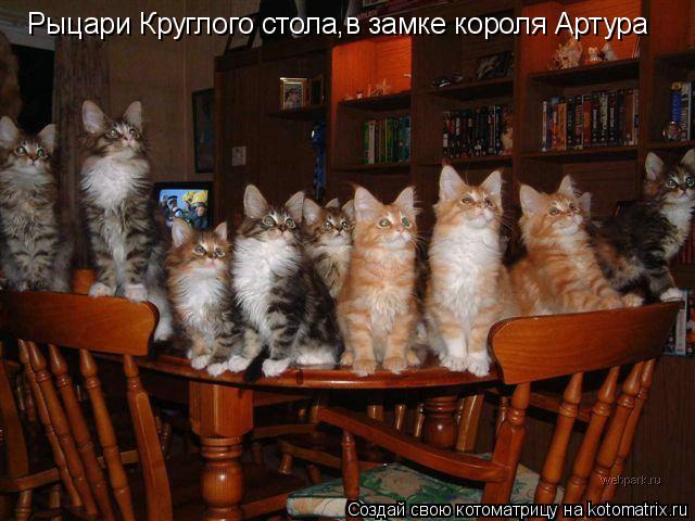 Рыцари Круглого стола,в замке короля Артура... Котоматрица: Рыцари Круглого стола,в замке короля Артура