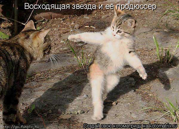 Восходящая звезда и её продюссер... Котоматрица: Восходящая звезда и её продюссер