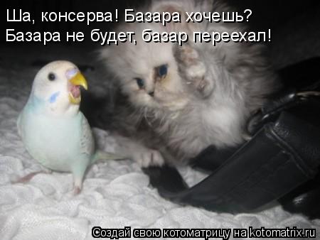 Ша, консерва! Базара хочешь? Базара не будет, базар переехал!... Котоматрица: Ша, консерва! Базара хочешь? Базара не будет, базар переехал!