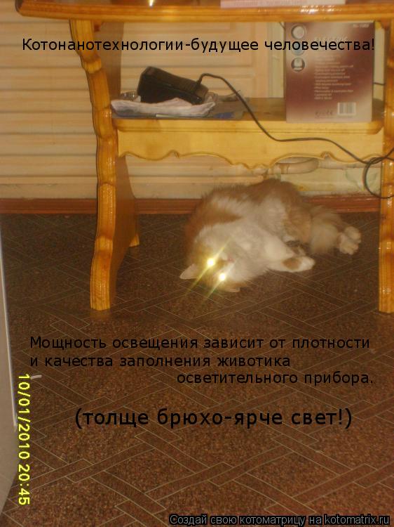 Котонанотехнологии-будущее человечества! Мощность освещения зависит от плотности и качества заполнен... Котоматрица: Котонанотехнологии-будущее человечества! Мощность освещения зависит от плотности и качества заполнения животика осветительного прибор