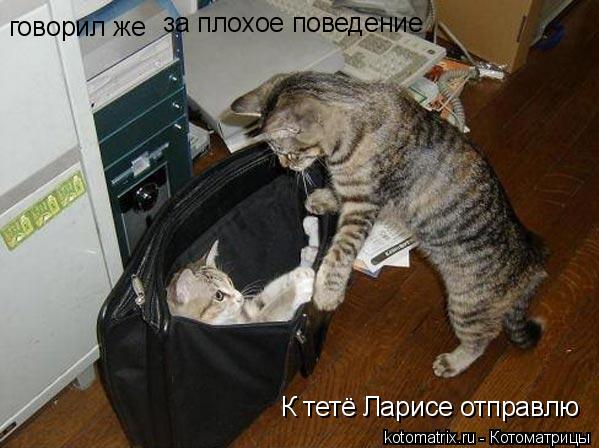 говорил же за плохое поведение К тетё Ларисе отправлю... Котоматрица: говорил же за плохое поведение К тетё Ларисе отправлю