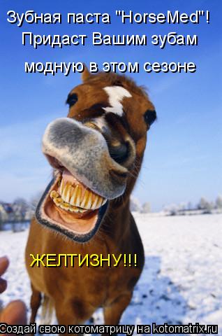 Зубная паста "HorseMed"! Придаст Вашим зубам модную в этом сезоне ЖЕЛТИЗНУ!!!... Котоматрица: Зубная паста "HorseMed"! Придаст Вашим зубам модную в этом сезоне ЖЕЛТИЗНУ!!!