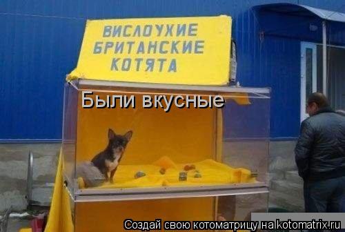 Были вкусные... Котоматрица: Были вкусные
