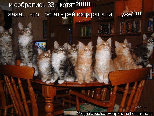 и собрались 33...котят?!!!!!!!!! аааа....что...богатырей изцарапали.....уже?!!!... Котоматрица: и собрались 33...котят?!!!!!!!!! аааа....что...богатырей изцарапали.....уже?!!!