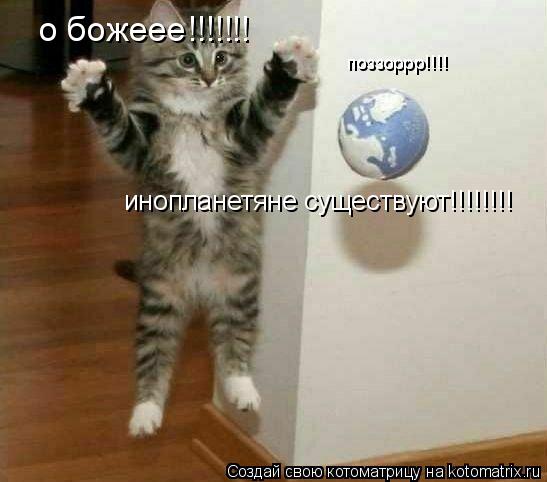 о божеее!!!!!!! инопланетяне существуют!!!!!!!! поззоррр!!!!... Котоматрица: о божеее!!!!!!! инопланетяне существуют!!!!!!!! поззоррр!!!!
