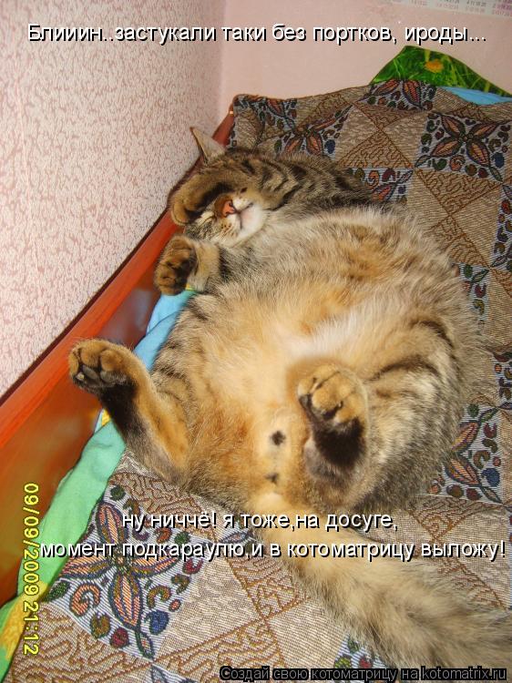 Блииин..застукали таки без портков, ироды... ну ниччё! я тоже,на досуге, момент подкараулю,и в котома... Котоматрица: Блииин..застукали таки без портков, ироды... ну ниччё! я тоже,на досуге, момент подкараулю,и в котоматрицу выложу!