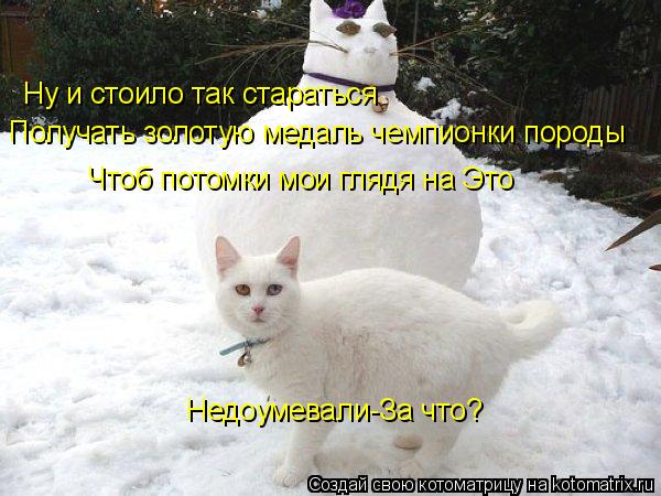 Ну и стоило так стараться Получать золотую медаль чемпионки породы Чтоб потомки мои глядя на Это Недо... Котоматрица: Ну и стоило так стараться Получать золотую медаль чемпионки породы Чтоб потомки мои глядя на Это Недоумевали-За что?