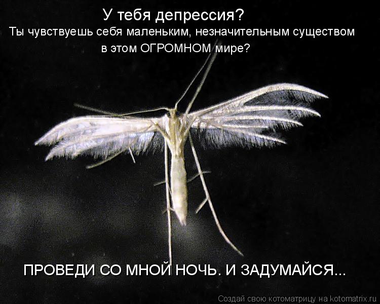 У тебя депрессия? Ты чувствуешь себя маленьким, незначительным существом в этом ОГРОМНОМ мире? ПРОВЕ... Котоматрица: У тебя депрессия? Ты чувствуешь себя маленьким, незначительным существом в этом ОГРОМНОМ мире? ПРОВЕДИ СО МНОЙ НОЧЬ. И ЗАДУМАЙСЯ...