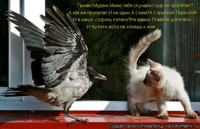 Привет,Мурзик.Мимо тебя случайно сыр не пролетал? А как же пролетал.И не один.А с кем?А с крыской Лар... Котоматрица: Привет,Мурзик.Мимо тебя случайно сыр не пролетал? А как же пролетал.И не один.А с кем?А с крыской Лариской! И в какую сторону летели?Не важно.Г
