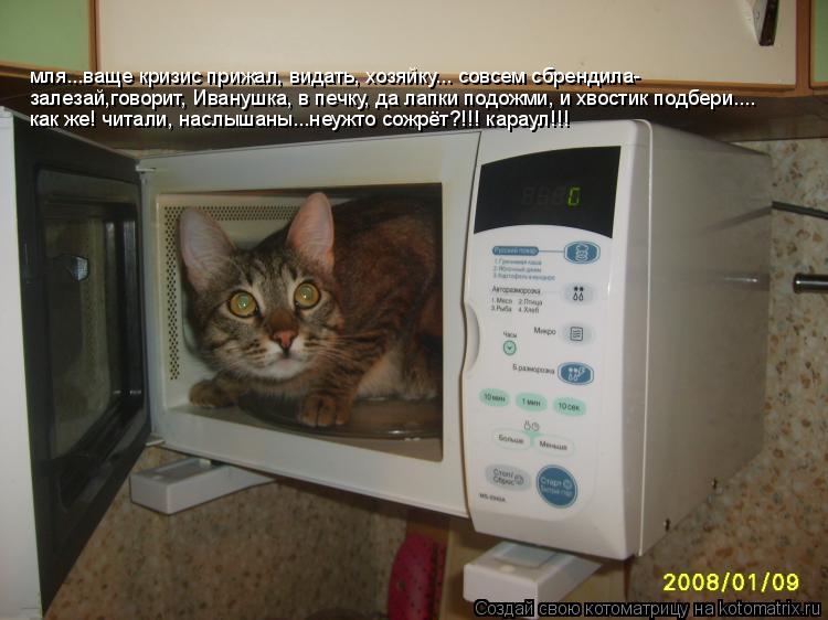 залезай,говорит, Иванушка, в печку, да лапки подожми, и хвостик подбери.... мля...ваще кризис прижал,... Котоматрица: залезай,говорит, Иванушка, в печку, да лапки подожми, и хвостик подбери.... мля...ваще кризис прижал, видать, хозяйку... как же! читали, наслышаны