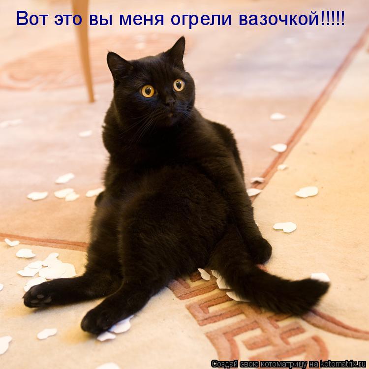 Вот это вы меня огрели вазочкой!!!!!... Котоматрица: Вот это вы меня огрели вазочкой!!!!!