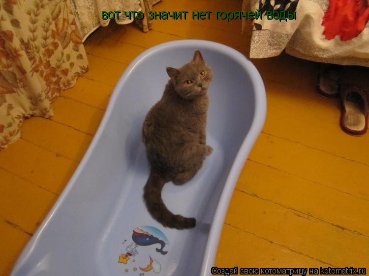 вот что значит нет горячей воды... Котоматрица: вот что значит нет горячей воды