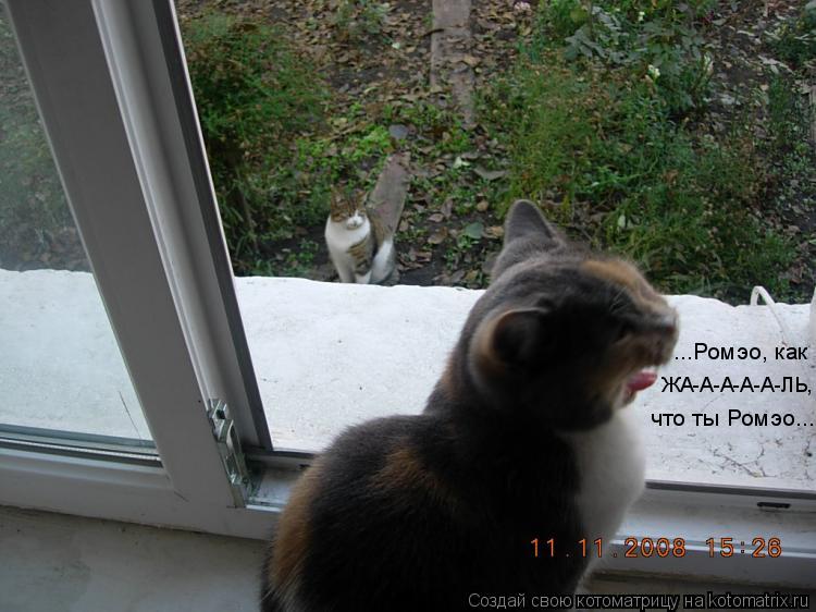 ...Ромэо, как что ты Ромэо... ЖА-А-А-А-А-ЛЬ,... Котоматрица: ...Ромэо, как что ты Ромэо... ЖА-А-А-А-А-ЛЬ,