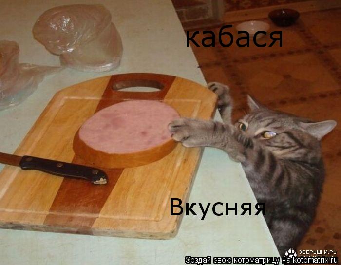 кабася Вкусняя... Котоматрица: кабася Вкусняя