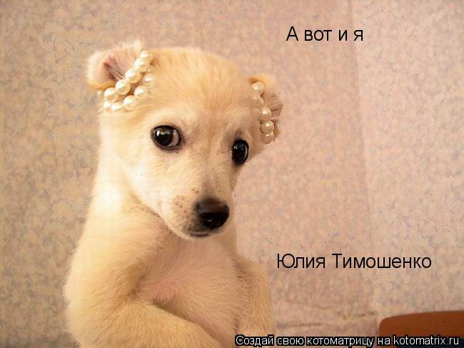 А вот и я Юлия Тимошенко... Котоматрица: А вот и я Юлия Тимошенко