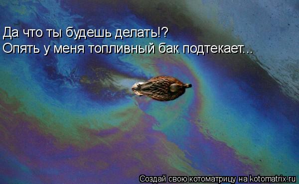 Котоматрица: Да что ты будешь делать!? Опять у меня топливный бак подтекает...