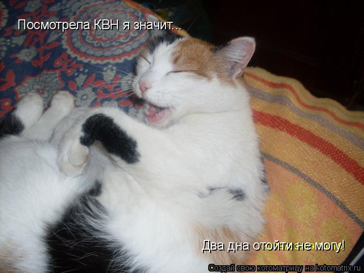 Посмотрела КВН я значит... Два дна отойти не могу!... Котоматрица: Посмотрела КВН я значит... Два дна отойти не могу!