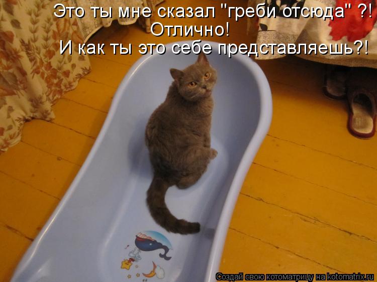 Это ты мне сказал "греби отсюда" ?! Отлично! И как ты это себе представляешь?!... Котоматрица: Это ты мне сказал "греби отсюда" ?! Отлично! И как ты это себе представляешь?!