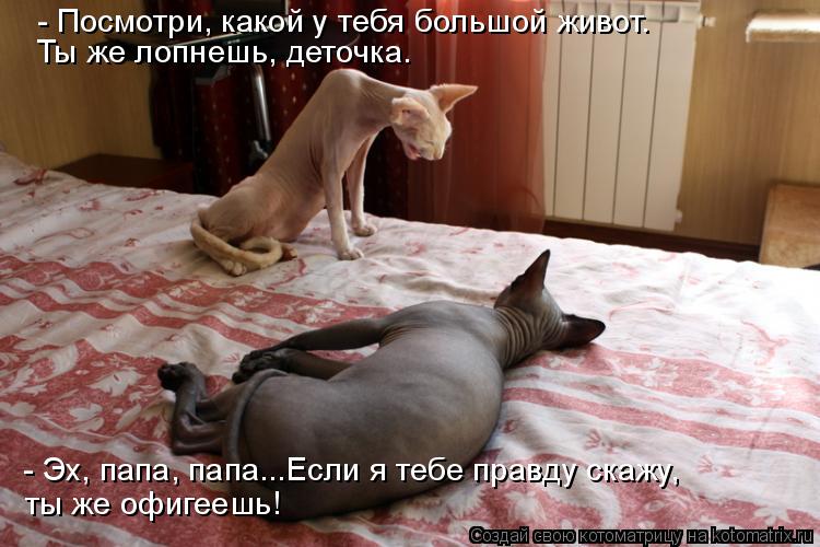 - Посмотри, какой у тебя большой живот. Ты же лопнешь, деточка. - Эх, папа, папа...Если я тебе правду... Котоматрица: - Посмотри, какой у тебя большой живот. Ты же лопнешь, деточка. - Эх, папа, папа...Если я тебе правду скажу, ты же офигеешь!