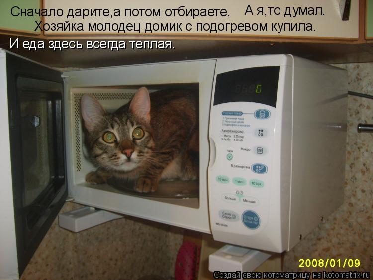 Сначало дарите,а потом отбираете. А я,то думал. Хозяйка молодец домик с подогревом купила. И еда здес... Котоматрица: Сначало дарите,а потом отбираете. А я,то думал. Хозяйка молодец домик с подогревом купила. И еда здесь всегда теплая.