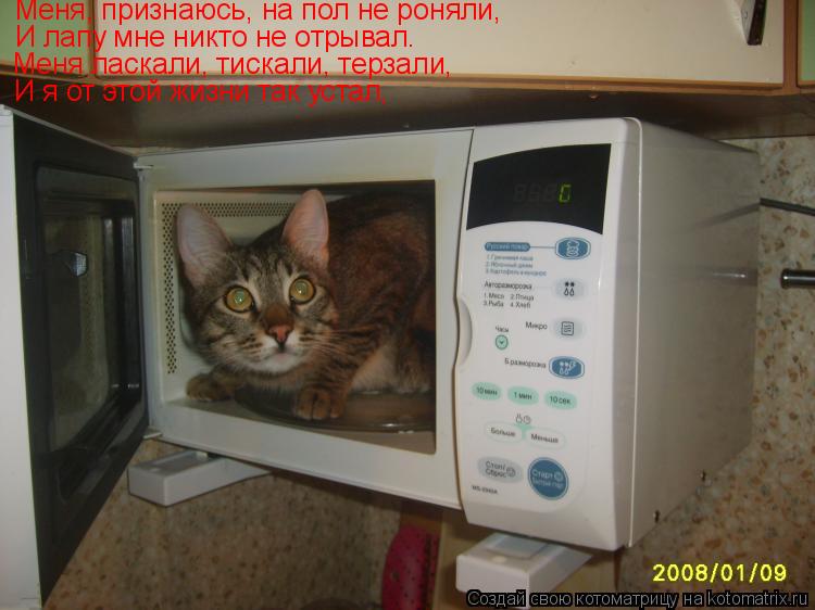 Меня, признаюсь, на пол не роняли, И лапу мне никто не отрывал. Меня ласкали, тискали, терзали, И я о... Котоматрица: Меня, признаюсь, на пол не роняли, И лапу мне никто не отрывал. Меня ласкали, тискали, терзали, И я от этой жизни так устал,