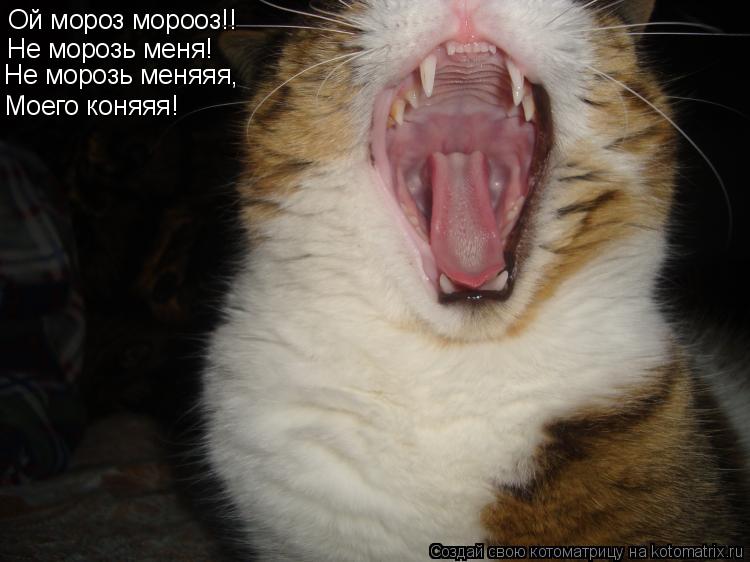 Ой мороз морооз!! Не морозь меня! Не морозь меняяя, Моего коняяя!... Котоматрица: Ой мороз морооз!! Не морозь меня! Не морозь меняяя, Моего коняяя!