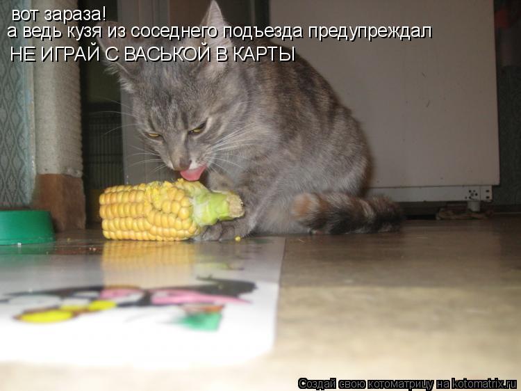 вот зараза! а ведь кузя из соседнего подъезда предупреждал НЕ ИГРАЙ С ВАСЬКОЙ В КАРТЫ... Котоматрица: вот зараза! а ведь кузя из соседнего подъезда предупреждал НЕ ИГРАЙ С ВАСЬКОЙ В КАРТЫ