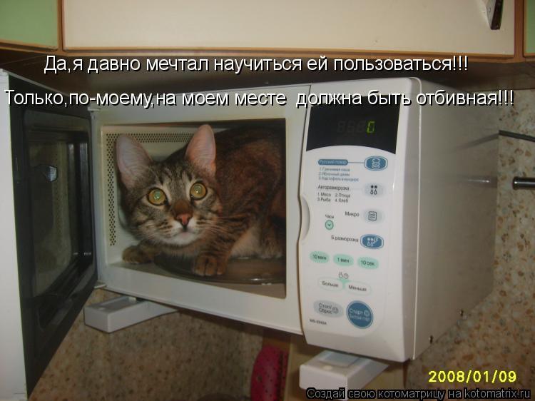 Да,я давно мечтал научиться ей пользоваться!!! Только,по-моему,на моем месте должна быть отбивная!!!... Котоматрица: Да,я давно мечтал научиться ей пользоваться!!! Только,по-моему,на моем месте должна быть отбивная!!!
