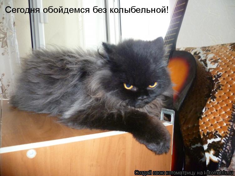 Сегодня обойдемся без колыбельной!... Котоматрица: Сегодня обойдемся без колыбельной!