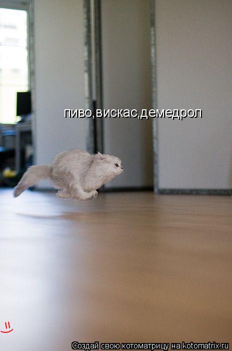 пиво,вискас,демедрол =)... Котоматрица: пиво,вискас,демедрол =)