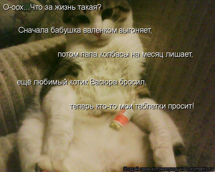 О-оох...Что за жизнь такая? Сначала бабушка валенком выгоняет, потом папа колбасы на месяц лишает, е... Котоматрица: О-оох...Что за жизнь такая? Сначала бабушка валенком выгоняет, потом папа колбасы на месяц лишает, ещё любимый котик Васюра бросил, теперь кт