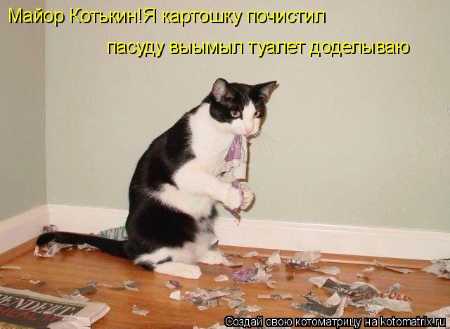 Майор Котькин!Я картошку почистил пасуду выымыл туалет доделываю... Котоматрица: Майор Котькин!Я картошку почистил пасуду выымыл туалет доделываю