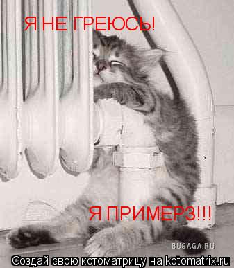 Я ПРИМЕРЗ!!! Я НЕ ГРЕЮСЬ!... Котоматрица: Я ПРИМЕРЗ!!! Я НЕ ГРЕЮСЬ!