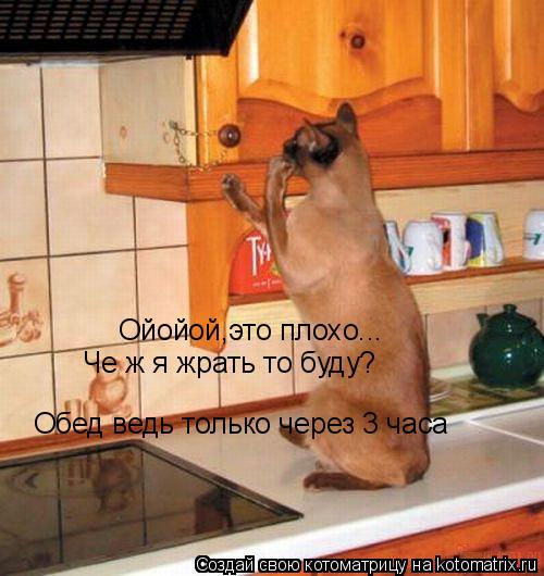 Ойойой,это плохо... Че ж я жрать то буду? Обед ведь только через 3 часа... Котоматрица: Ойойой,это плохо... Че ж я жрать то буду? Обед ведь только через 3 часа