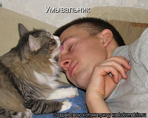 Умывальник... Котоматрица: Умывальник