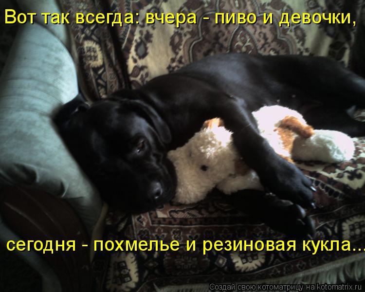 Вот так всегда: вчера - пиво и девочки, сегодня - похмелье и резиновая кукла...... Котоматрица: Вот так всегда: вчера - пиво и девочки, сегодня - похмелье и резиновая кукла...