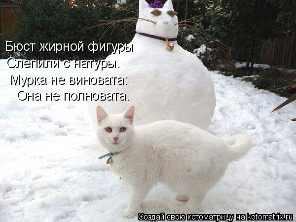 Бюст жирной фигуры Слепили с натуры. Мурка не виновата: Она не полновата.... Котоматрица: Бюст жирной фигуры Слепили с натуры. Мурка не виновата: Она не полновата.