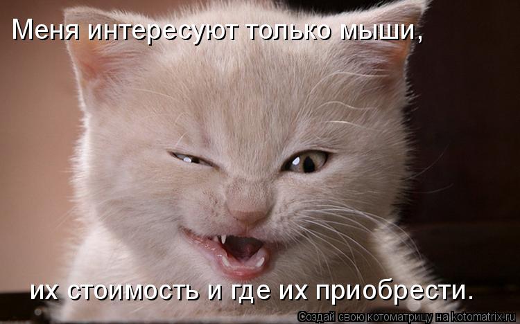 Меня интересуют только мыши, их стоимость и где их приобрести.... Котоматрица: Меня интересуют только мыши, их стоимость и где их приобрести.