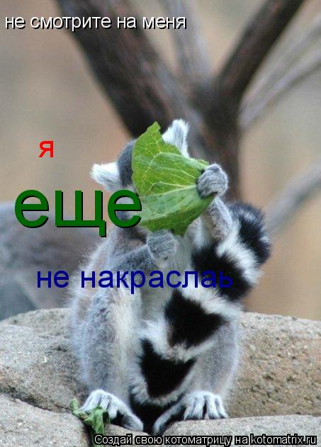не смотрите на меня я еще не накраслаь... Котоматрица: не смотрите на меня я еще не накраслаь