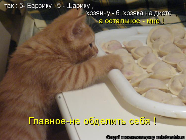 так : 5- Барсику , 5 - Шарику , хозяину - 6 ,хозяка на диете.., а остальное - мне ! Главное-не обдели... Котоматрица: так : 5- Барсику , 5 - Шарику , хозяину - 6 ,хозяка на диете.., а остальное - мне ! Главное-не обделить себя !