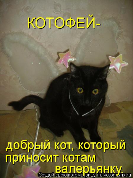 КОТОФЕЙ- добрый кот, который приносит котам валерьянку.... Котоматрица: КОТОФЕЙ- добрый кот, который приносит котам валерьянку.