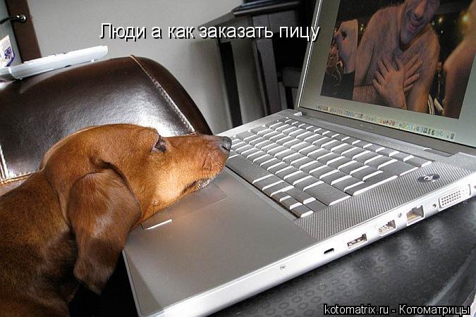 Люди а как заказать пицу... Котоматрица: Люди а как заказать пицу