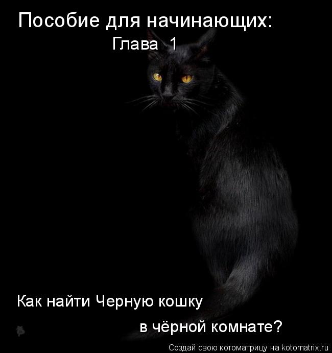 Пособие для начинающих: Глава 1 Как найти Черную кошку в чёрной комнате?... Котоматрица: Пособие для начинающих: Глава 1 Как найти Черную кошку в чёрной комнате?