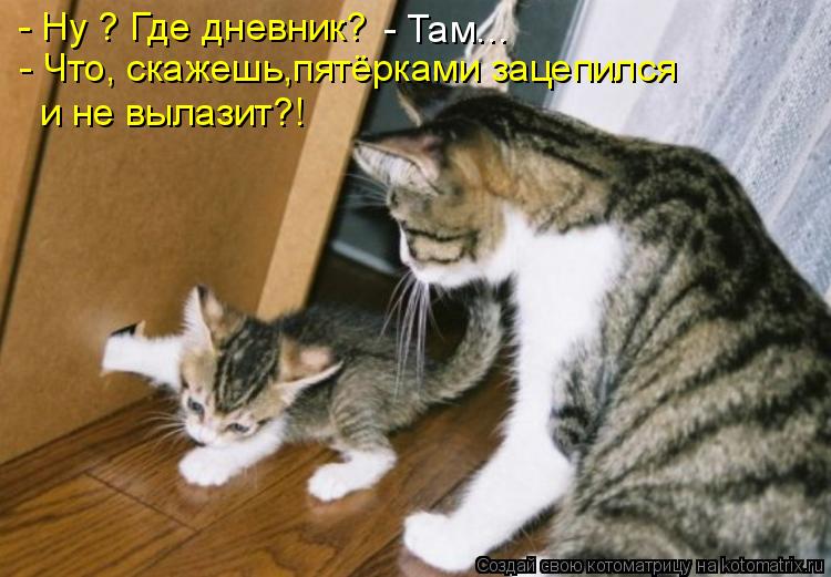 - Ну ? Где дневник? - Что, скажешь,пятёрками зацепился и не вылазит?! - Там...... Котоматрица: - Ну ? Где дневник? - Что, скажешь,пятёрками зацепился и не вылазит?! - Там...