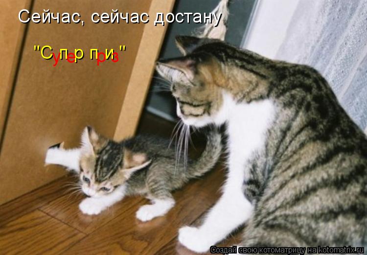 Сейчас, сейчас достану "С п р п и " у е р з... Котоматрица: Сейчас, сейчас достану "С п р п и " у е р з