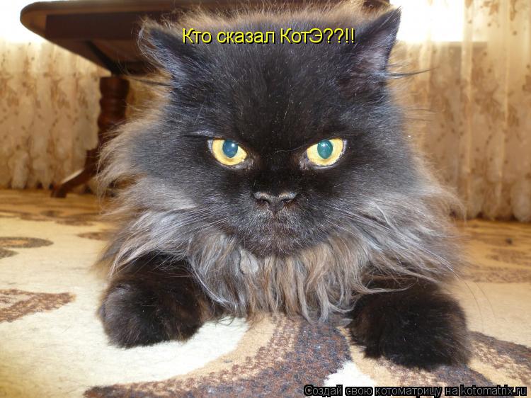 Кто сказал КотЭ??!!... Котоматрица: Кто сказал КотЭ??!!