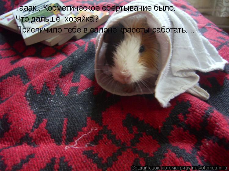 Тааак.. Косметическое обёртывание было. Что дальше, хозяйка? Приспичило тебе в салоне красоты работат... Котоматрица: Тааак.. Косметическое обёртывание было. Что дальше, хозяйка? Приспичило тебе в салоне красоты работать....