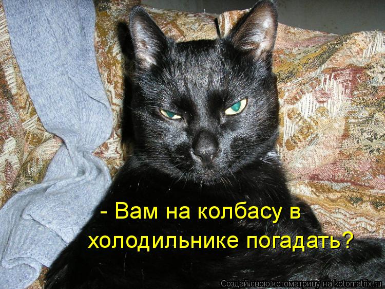- Вам на колбасу в холодильнике погадать?... Котоматрица: - Вам на колбасу в холодильнике погадать?