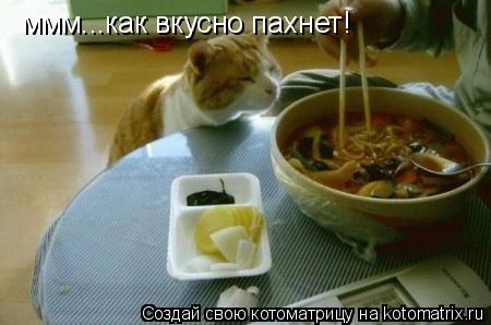 ммм...как вкусно пахнет! ммм...как вкусно пахнет! ммм...как вкусно пахнет! хозяин! ммм...как вкусно п... Котоматрица: ммм...как вкусно пахнет! ммм...как вкусно пахнет! ммм...как вкусно пахнет! хозяин! ммм...как вкусно пахнет!